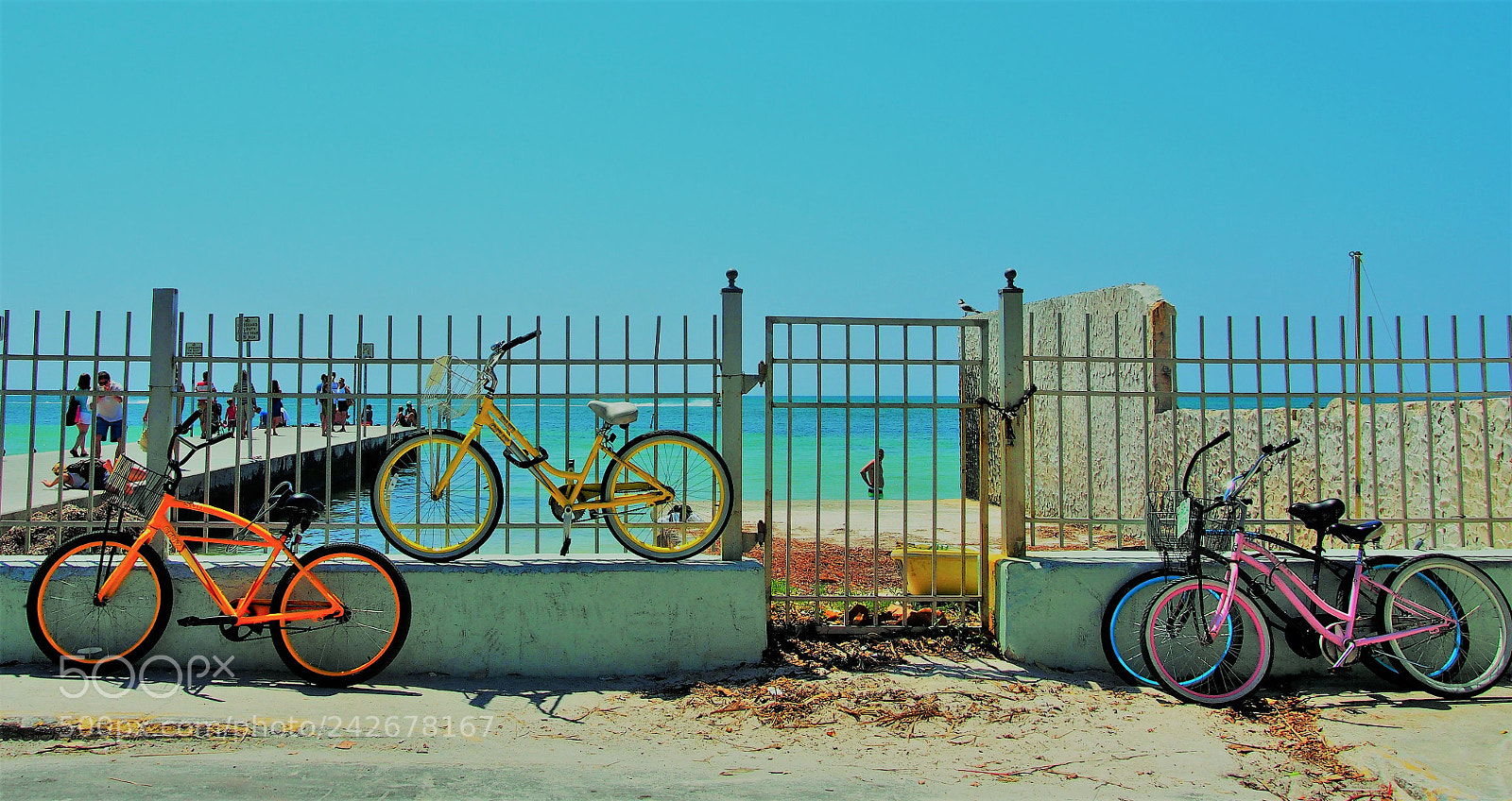 Olympus PEN E-PM2 sample photo. Key west life photography