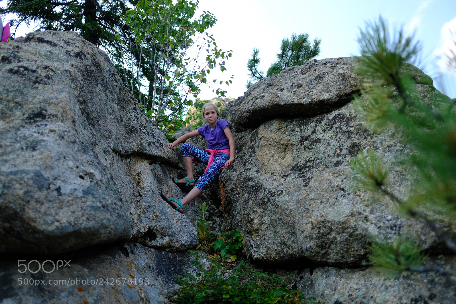 Fujifilm X-T2 sample photo. Black hills, sd photography