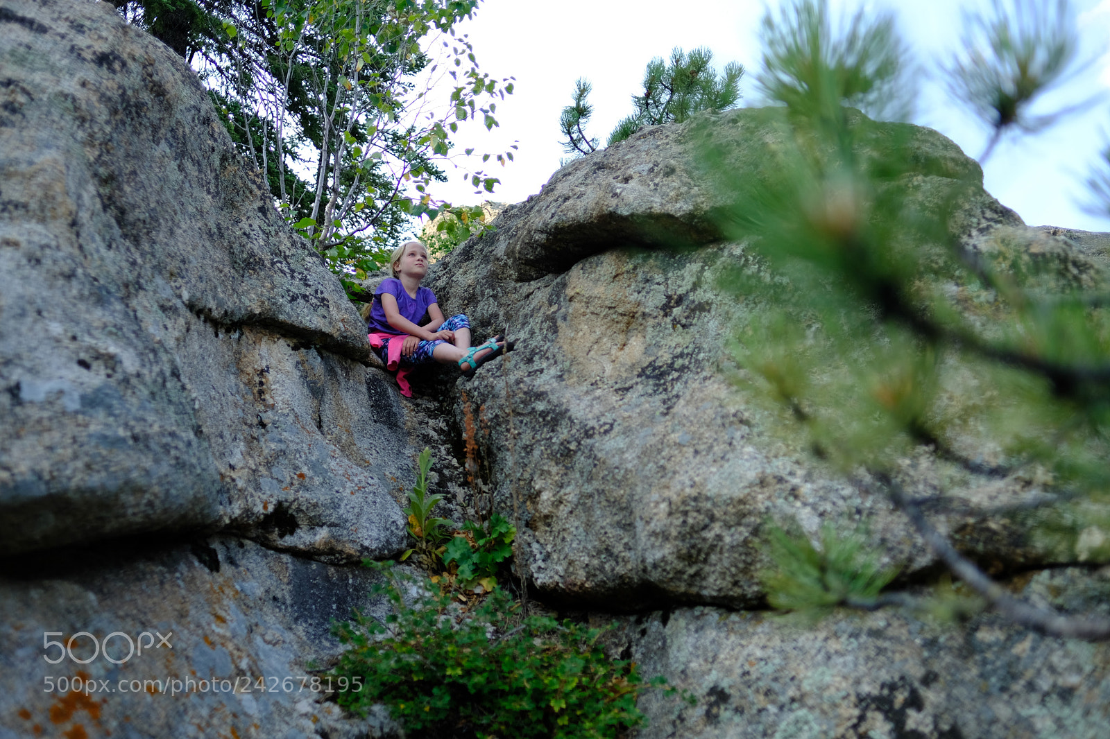 Fujifilm X-T2 sample photo. Black hills, sd photography