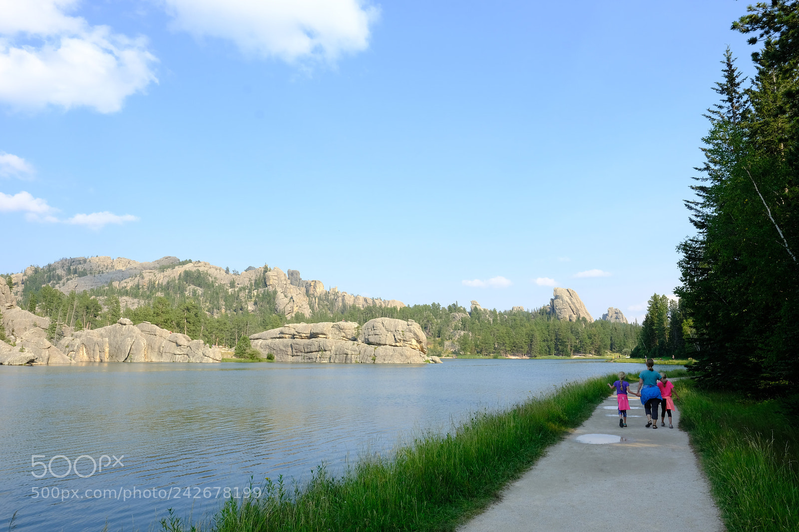 Fujifilm X-T2 sample photo. Black hills, sd photography