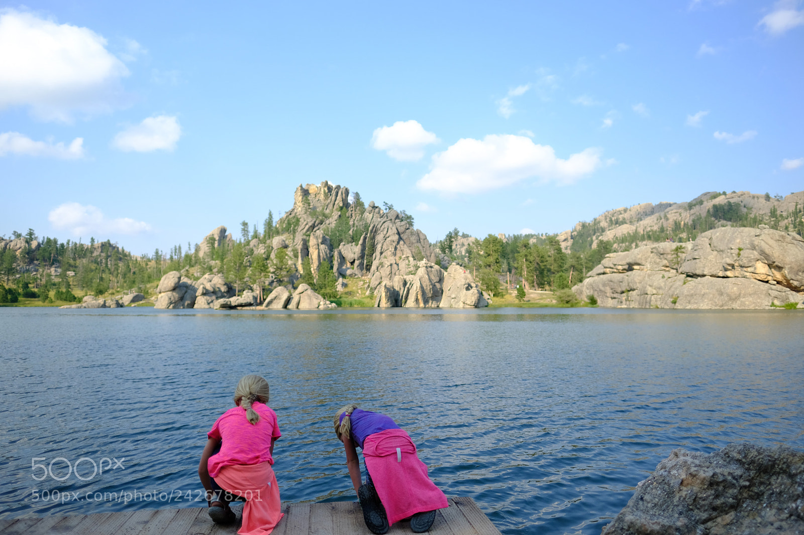 Fujifilm X-T2 sample photo. Black hills, sd photography