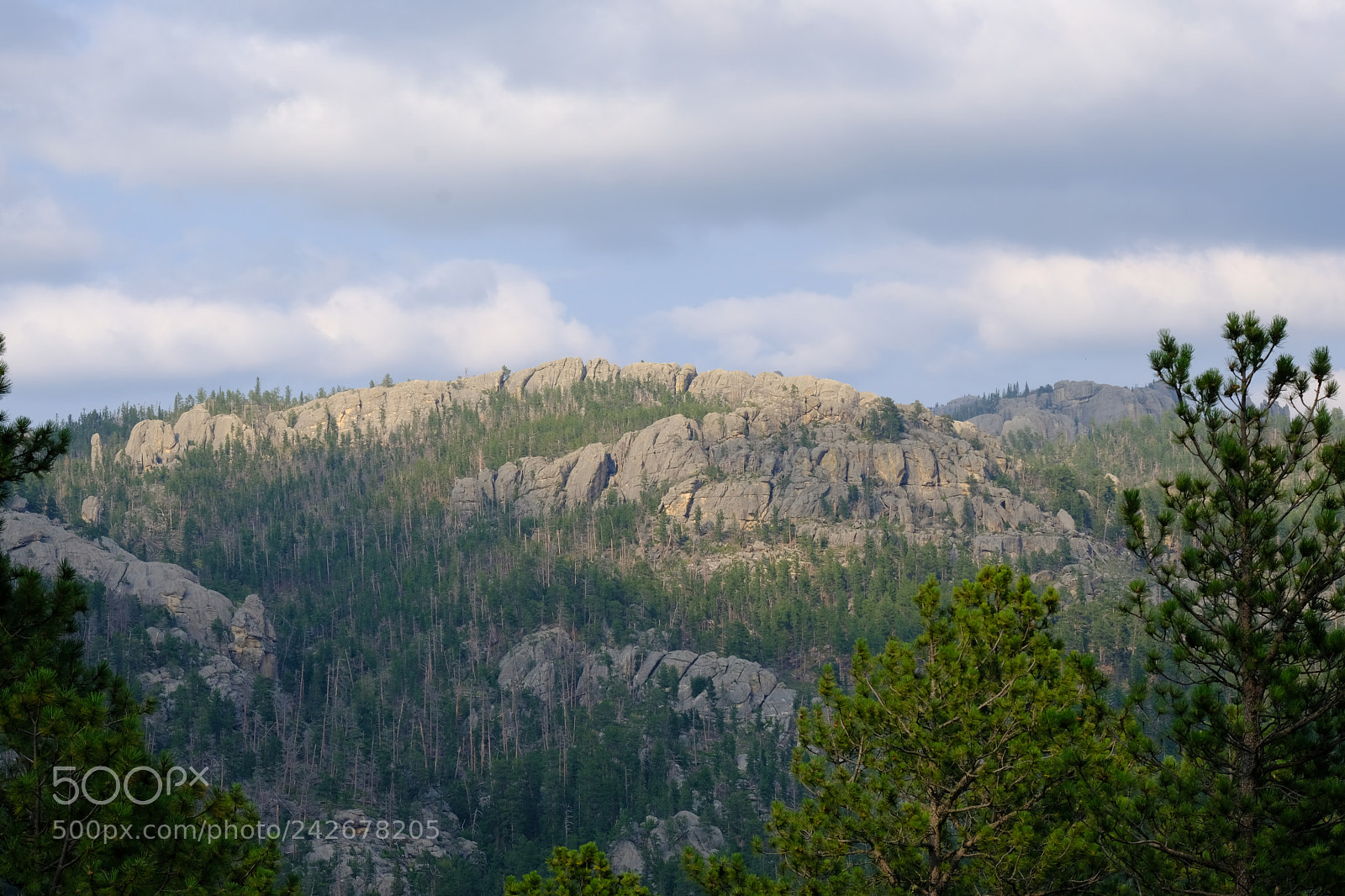Fujifilm X-T2 sample photo. Black hills, sd photography