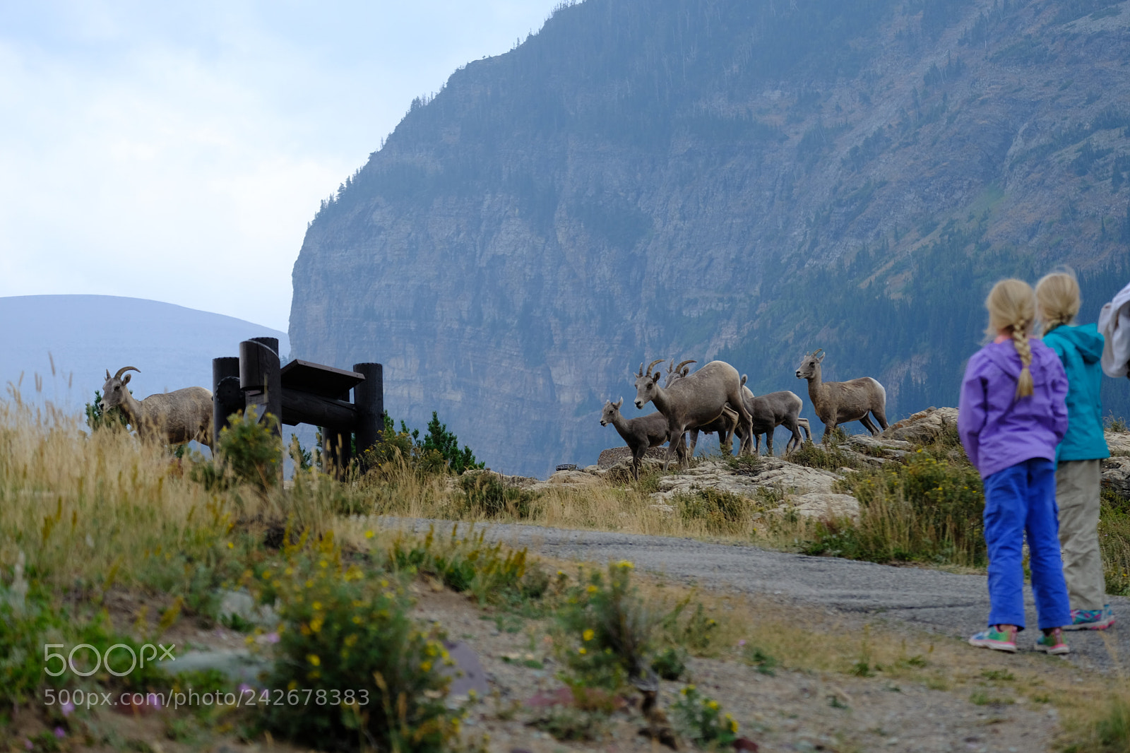 Fujifilm X-T2 sample photo. Glacier photography