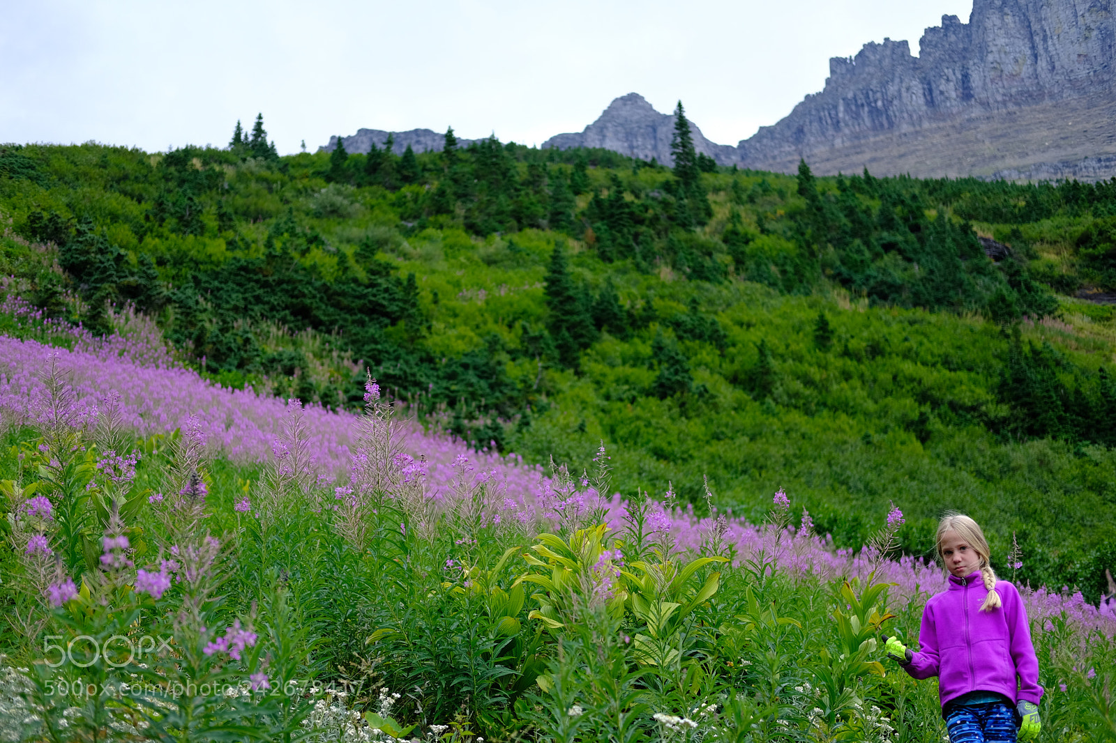 Fujifilm X-T2 sample photo. Glacier photography