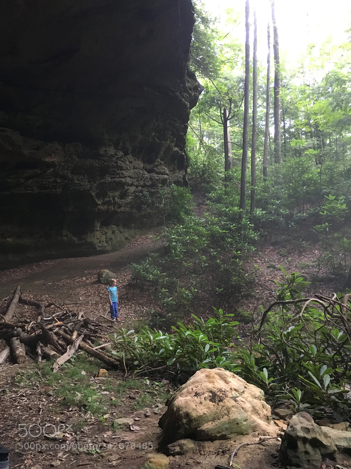 Apple iPhone 6s sample photo. Big south fork photography