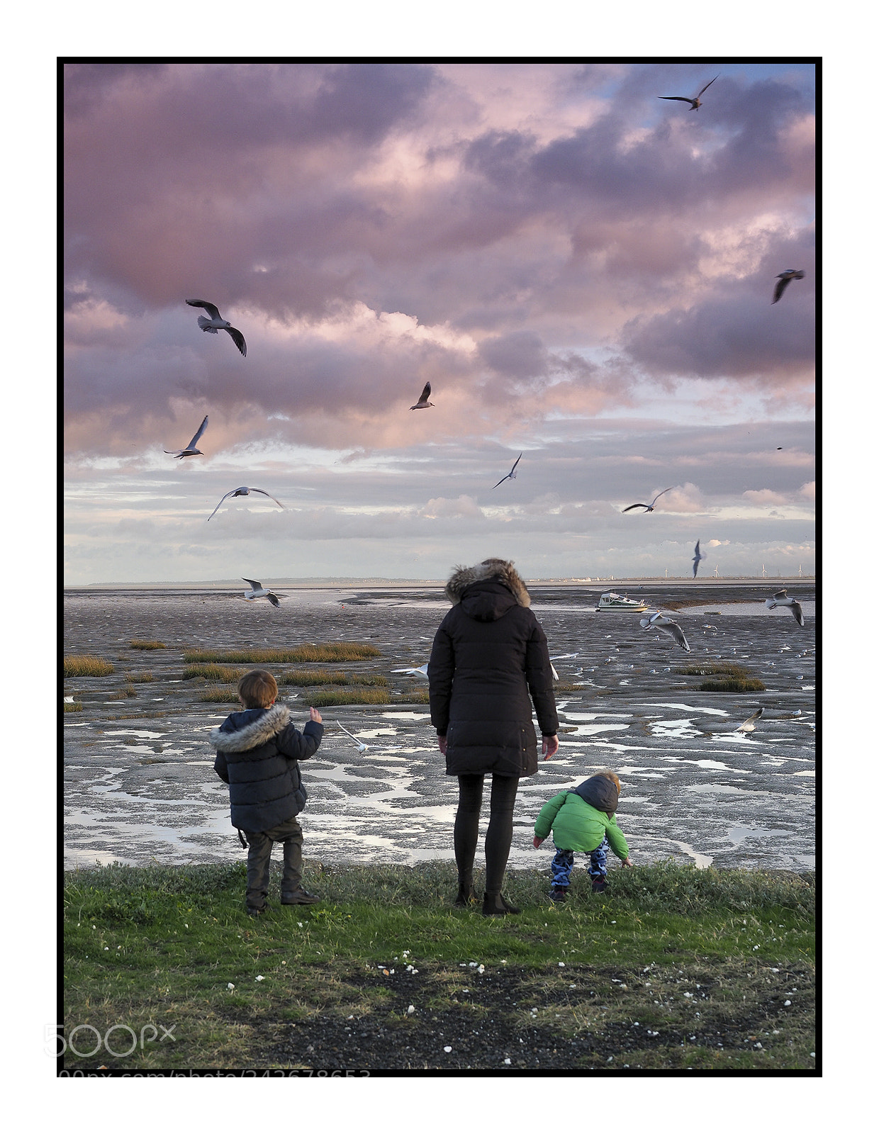 Olympus OM-D E-M1 Mark II sample photo. Family feeding birds photography