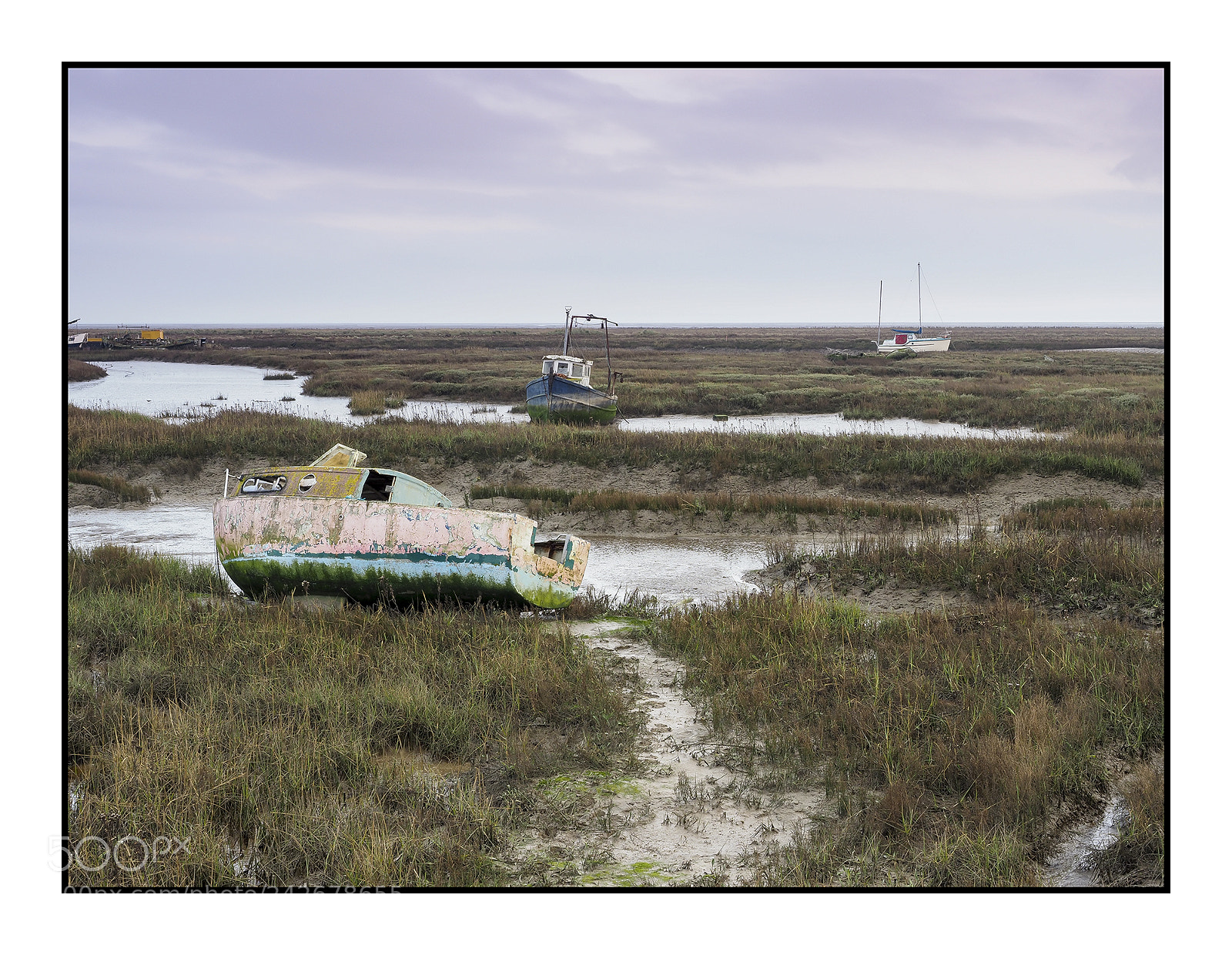 Olympus OM-D E-M1 Mark II sample photo. Boats of two tree photography