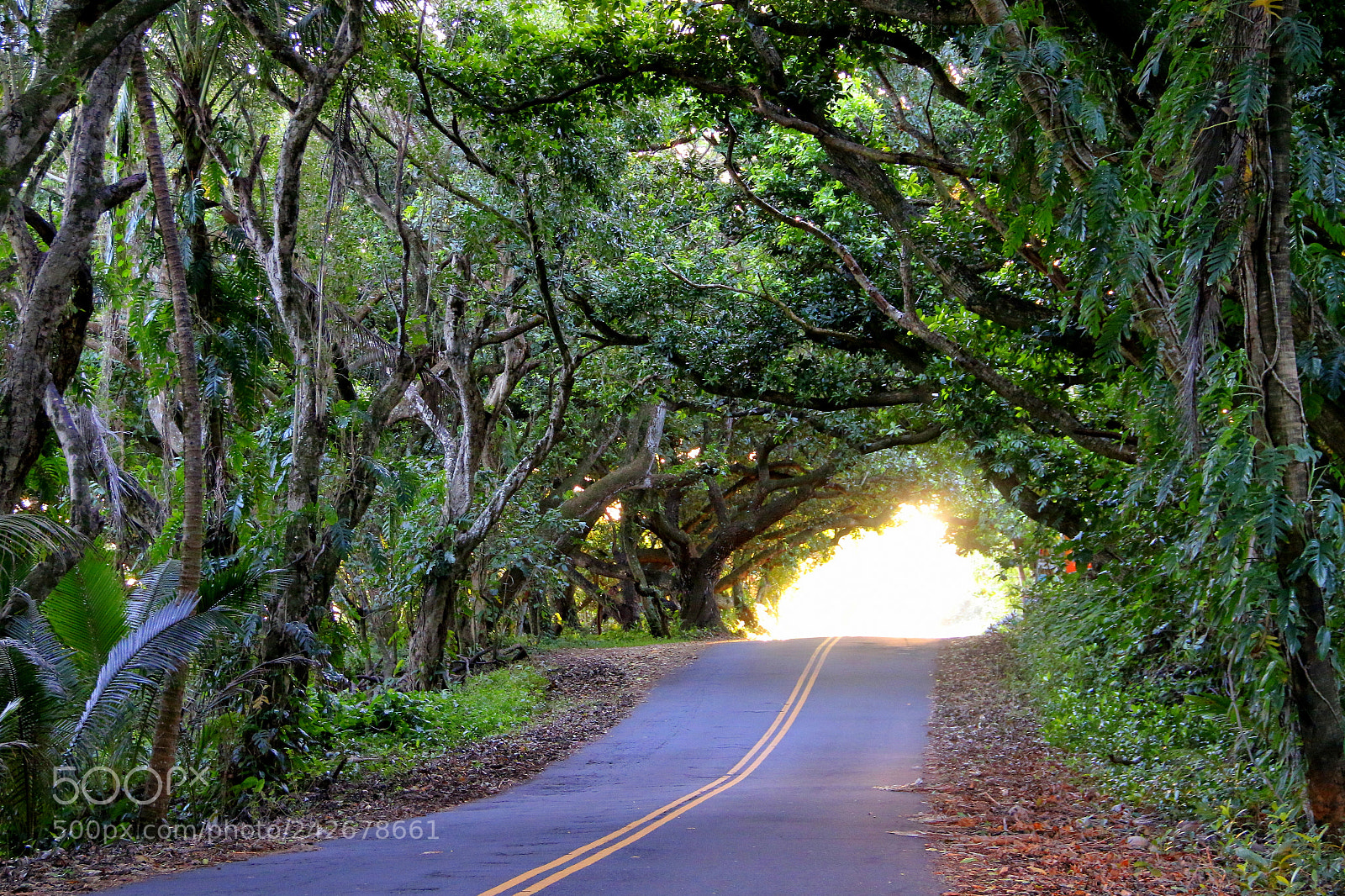 Canon EF-S 18-135mm F3.5-5.6 IS sample photo. Road to sunset photography