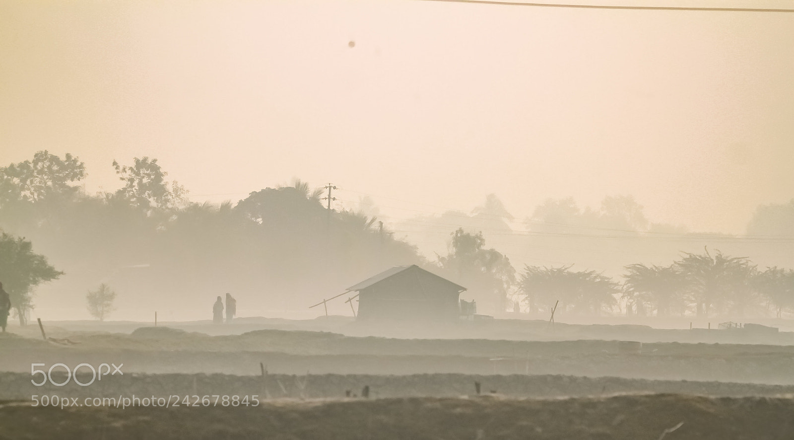 Canon EOS 500D (EOS Rebel T1i / EOS Kiss X3) sample photo. Layers of fog photography