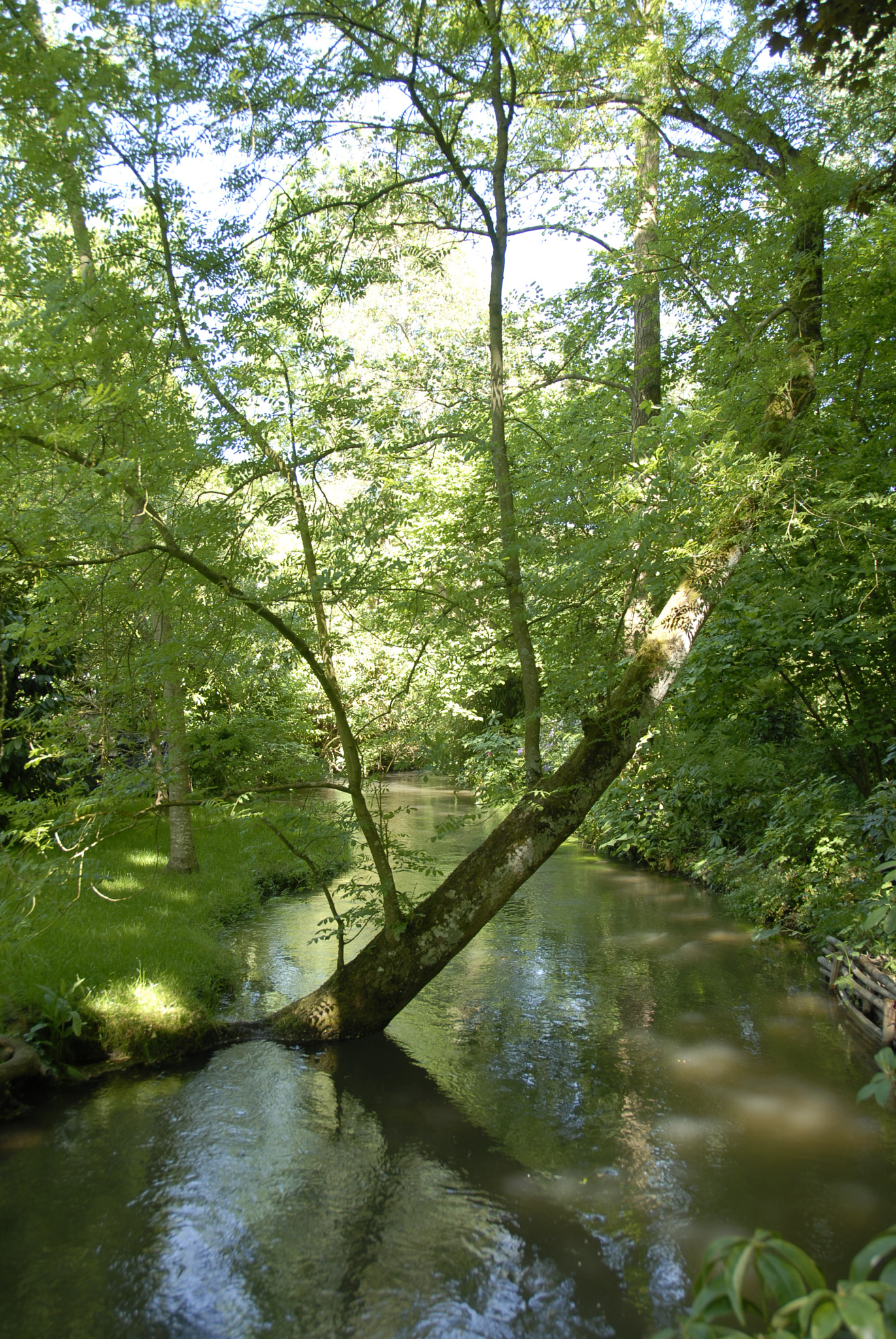 Nikon D200 sample photo. Vue du pont de claude monet photography