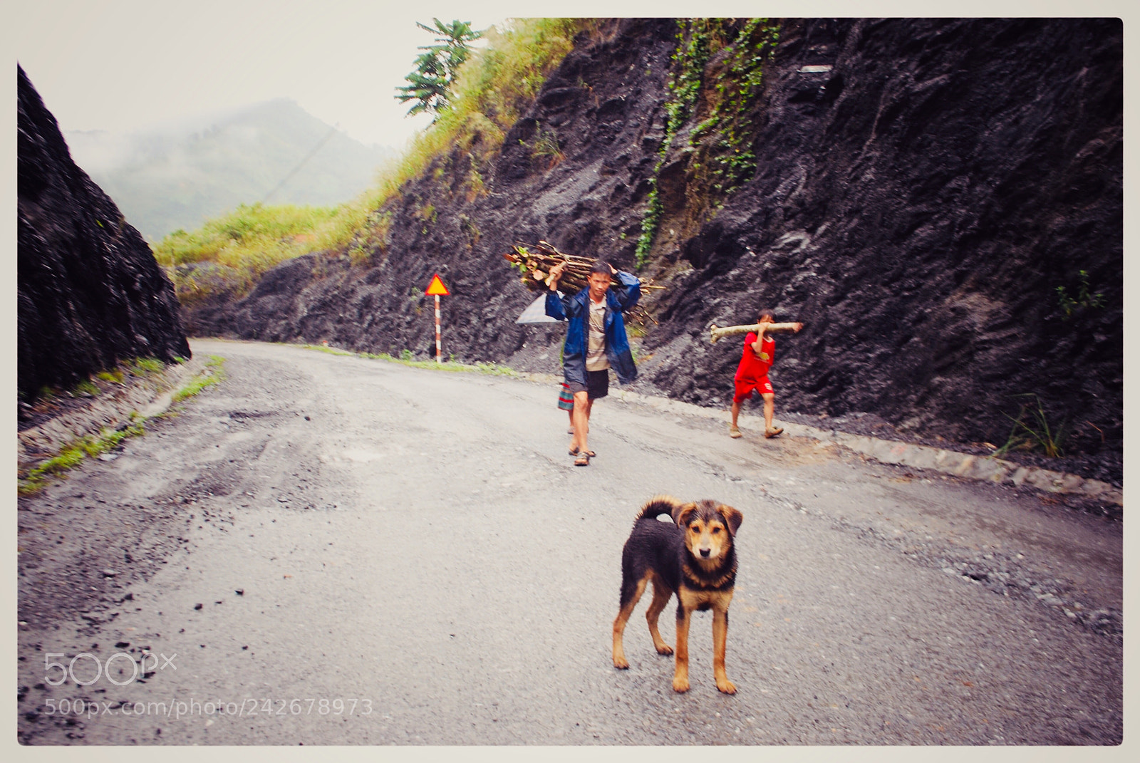 Nikon D40X sample photo. Untitled photography