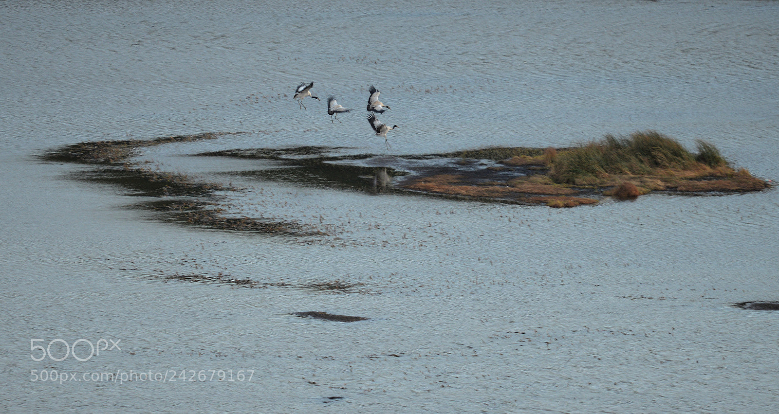 Nikon D800 sample photo. Untitled photography
