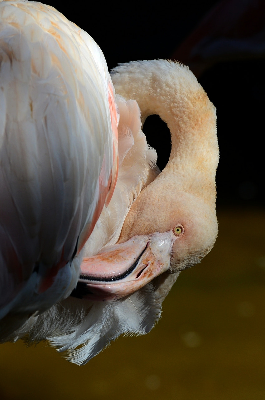 Nikon D800 sample photo