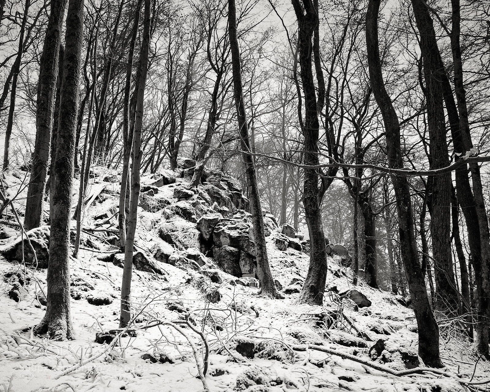 Nikon D7100 sample photo. Rocks in the forest photography