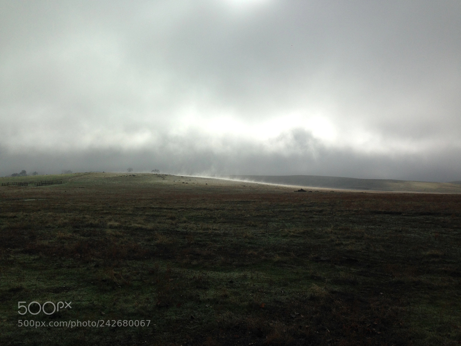 Apple iPhone 5c sample photo. Misty mountain hop photography