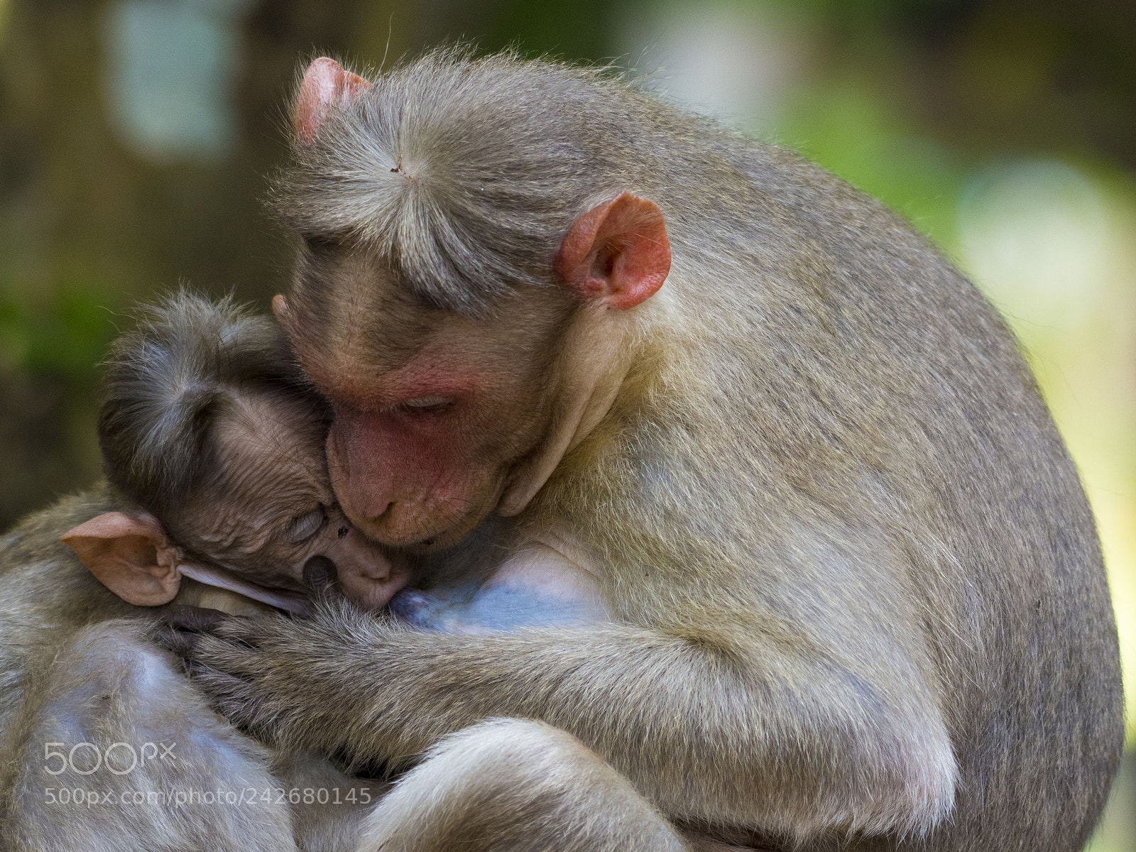 Nikon D7200 sample photo. Motherhood photography