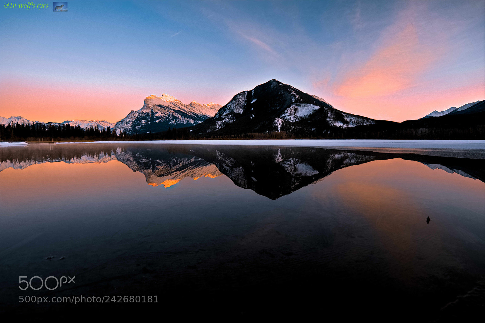 Nikon D500 sample photo. Dawn, canada photography