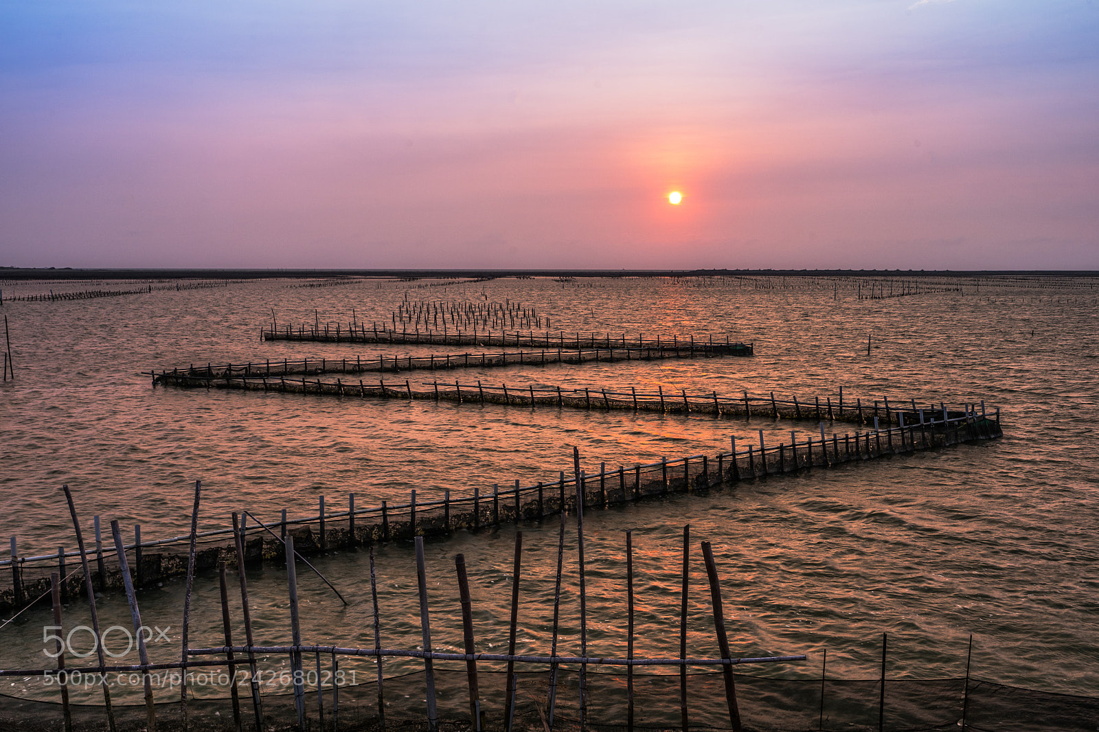 Sony a7 II sample photo. Oyster farm in the photography