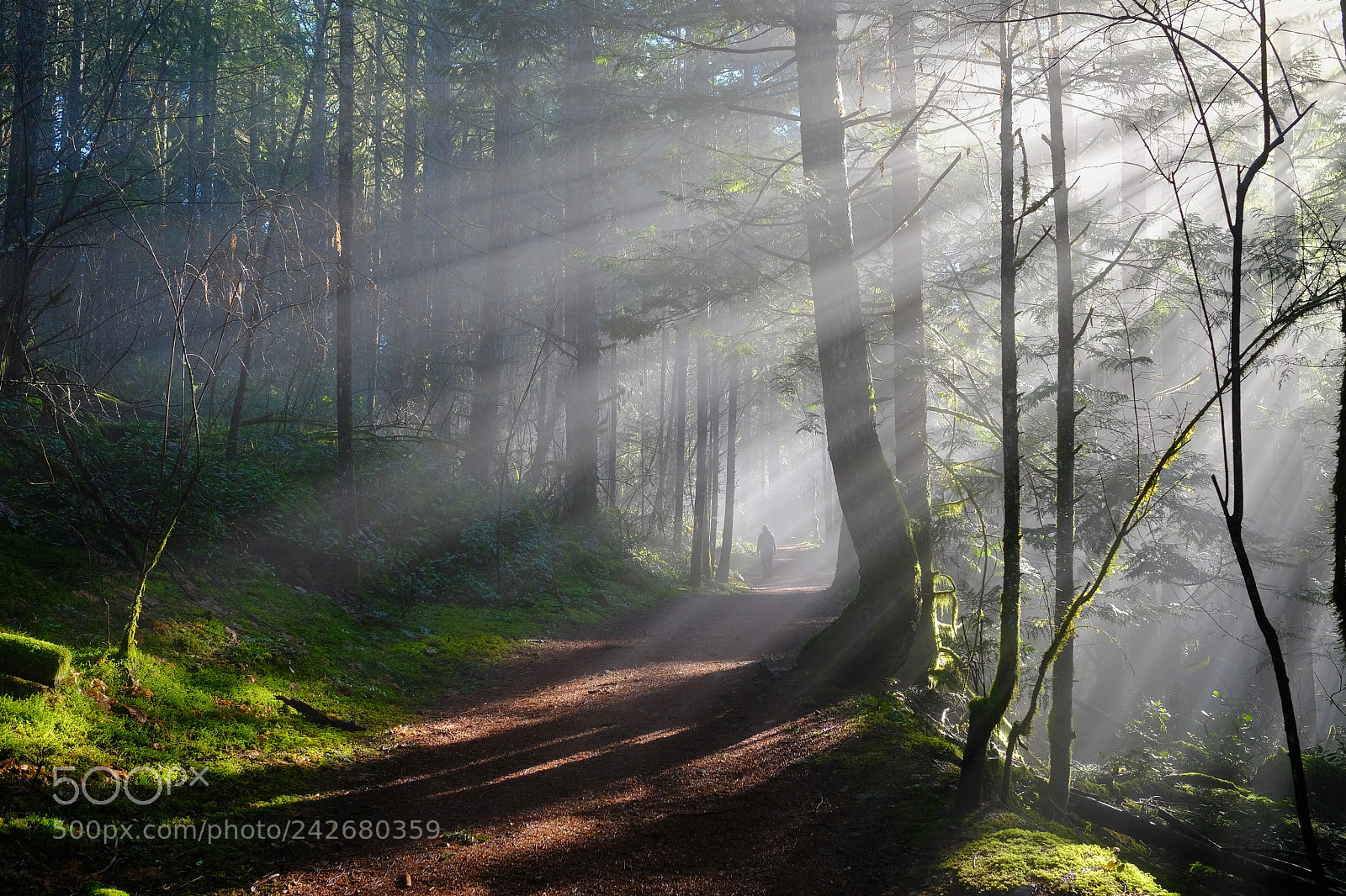 Fujifilm X-T20 sample photo. Rays of light photography