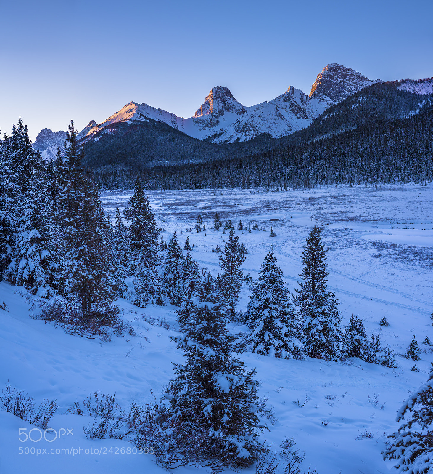 Nikon D810 sample photo. Wintery sunrise photography