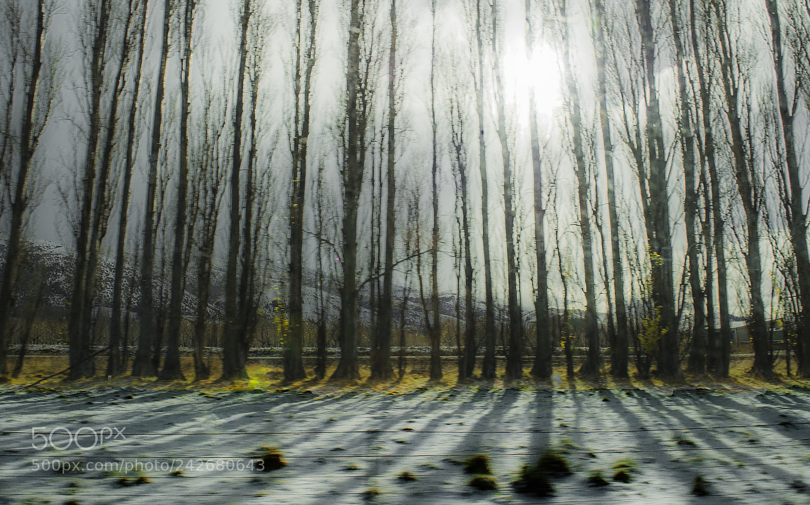 Nikon D3S sample photo. Start of winter photography