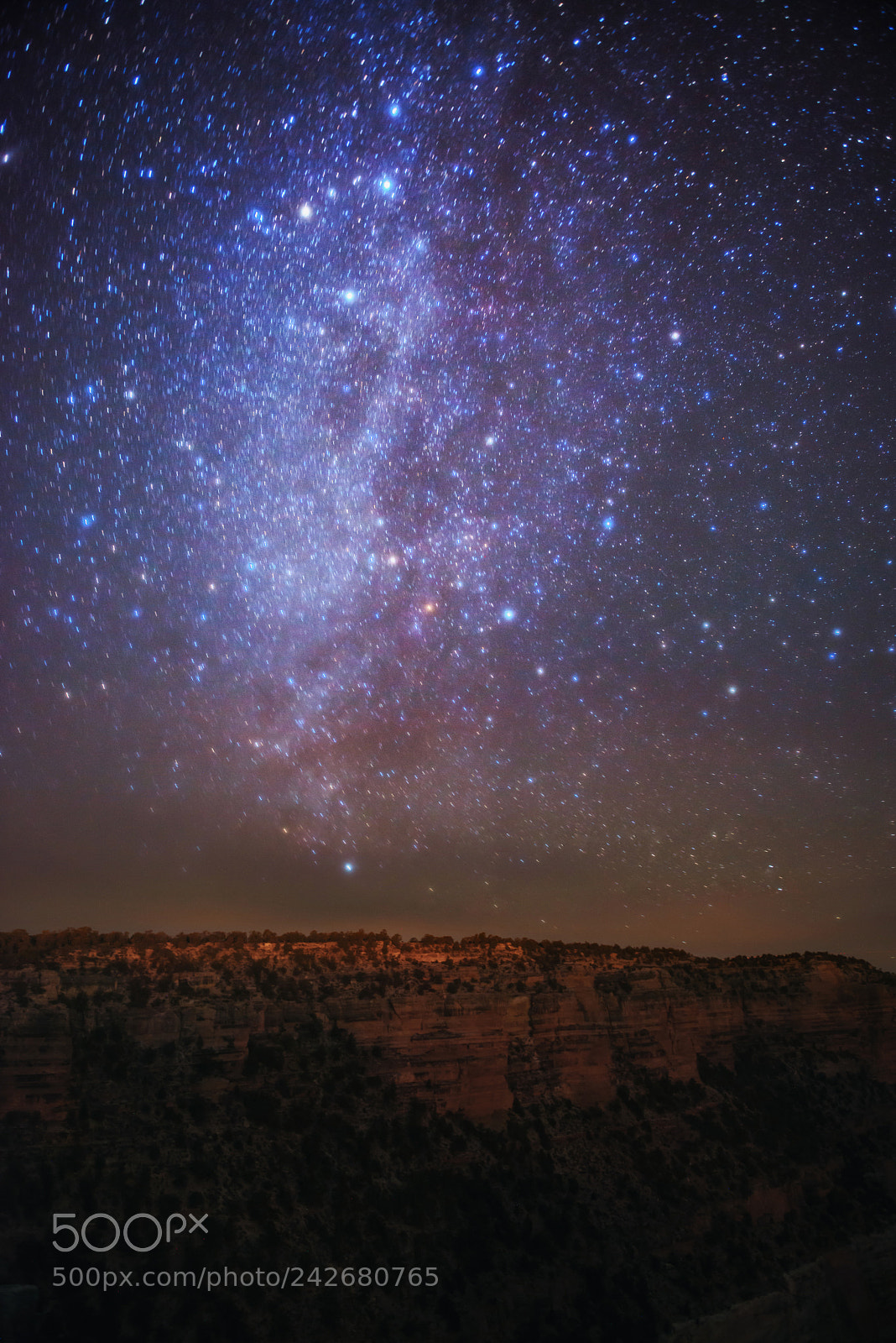 Nikon D800 sample photo. Milky way in grand photography