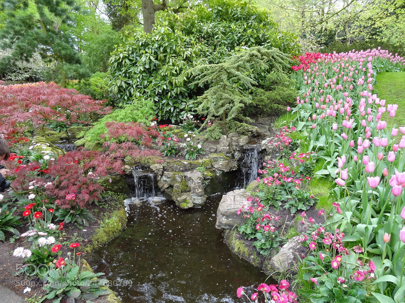 Sony Cyber-shot DSC-HX9V sample photo. Dsc photography