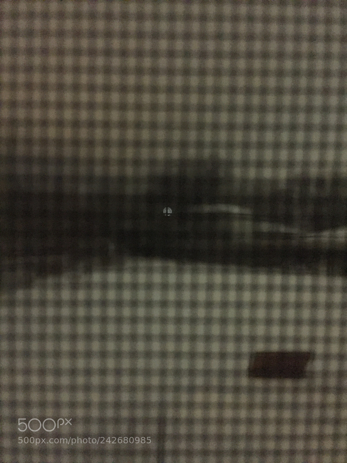 Apple iPhone 6 sample photo. Untitled photography
