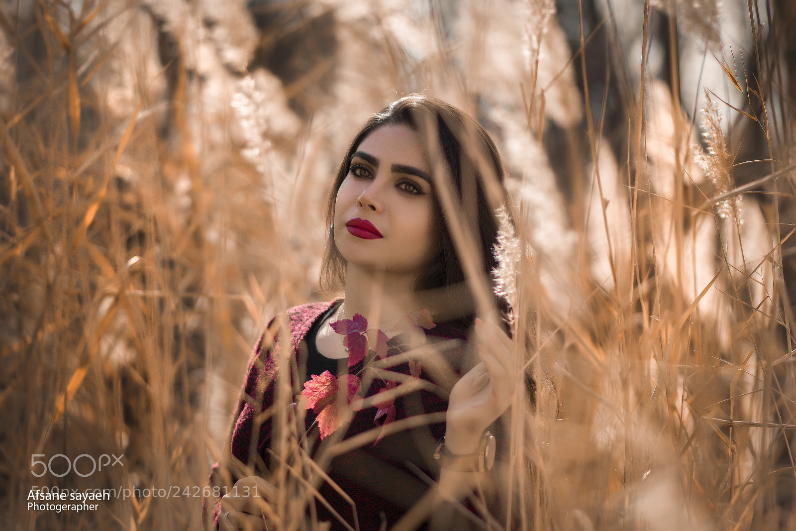 Nikon D7100 sample photo. Untitled photography