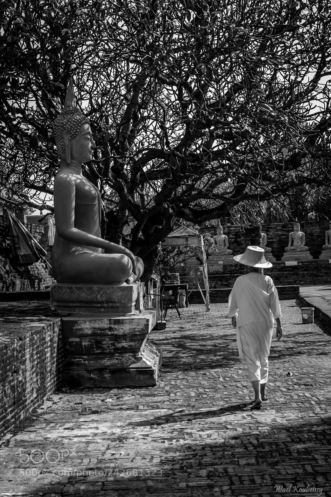 Nikon D5500 sample photo. The monk and the photography
