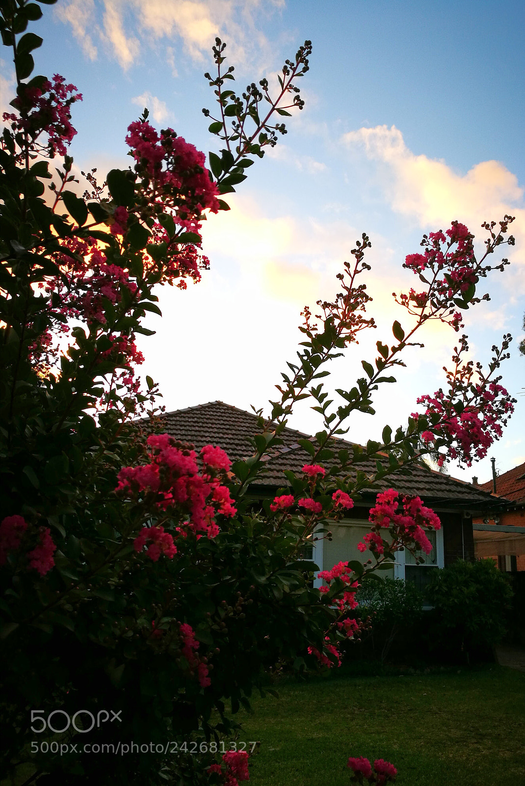 HUAWEI P9 sample photo. Untitled photography
