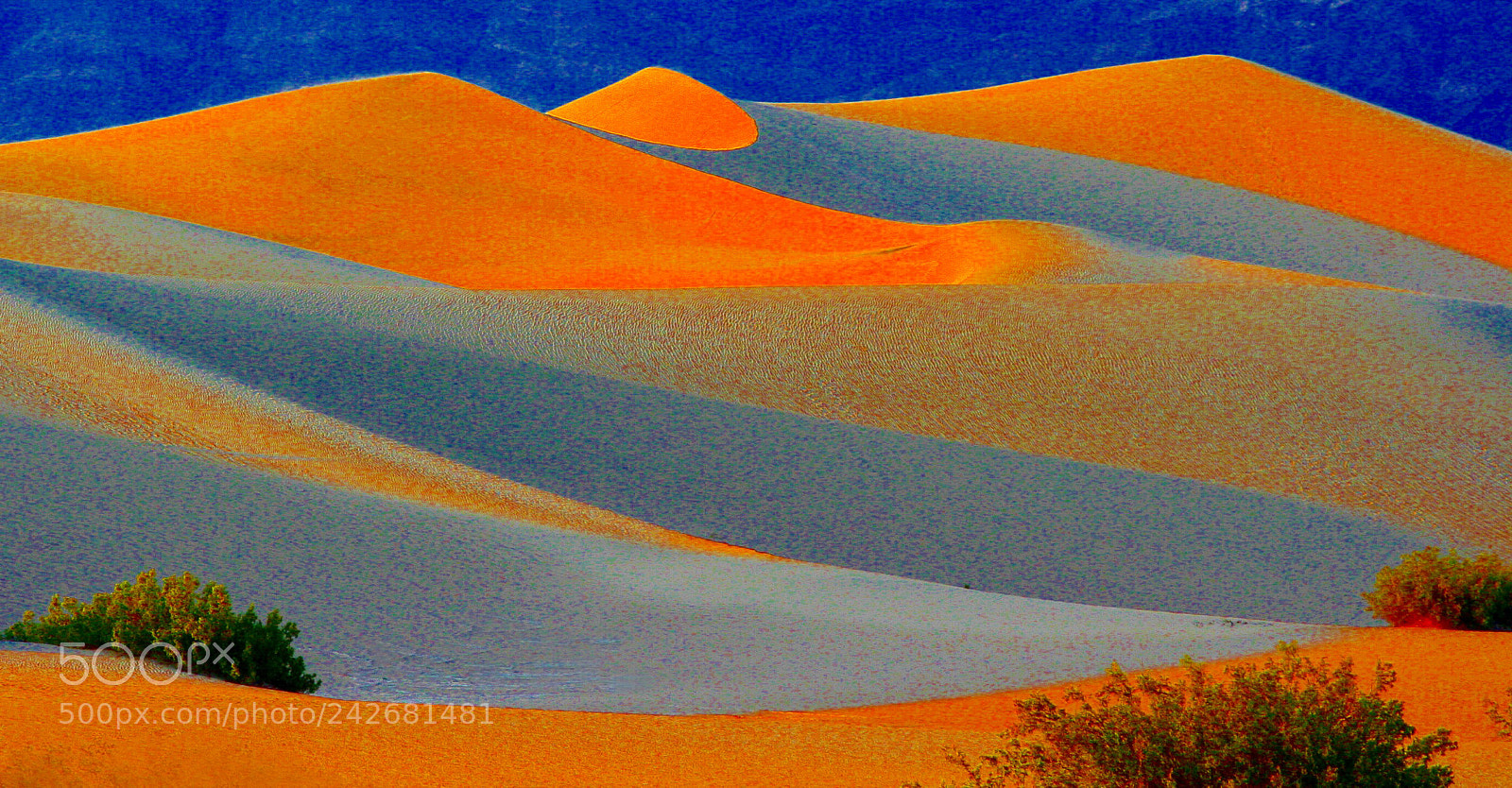 Canon EOS 350D (EOS Digital Rebel XT / EOS Kiss Digital N) sample photo. Glowing dunes photography