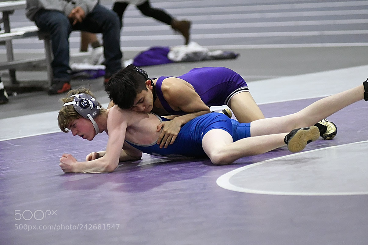 Nikon D500 sample photo. 1-10_0167.jpg photography