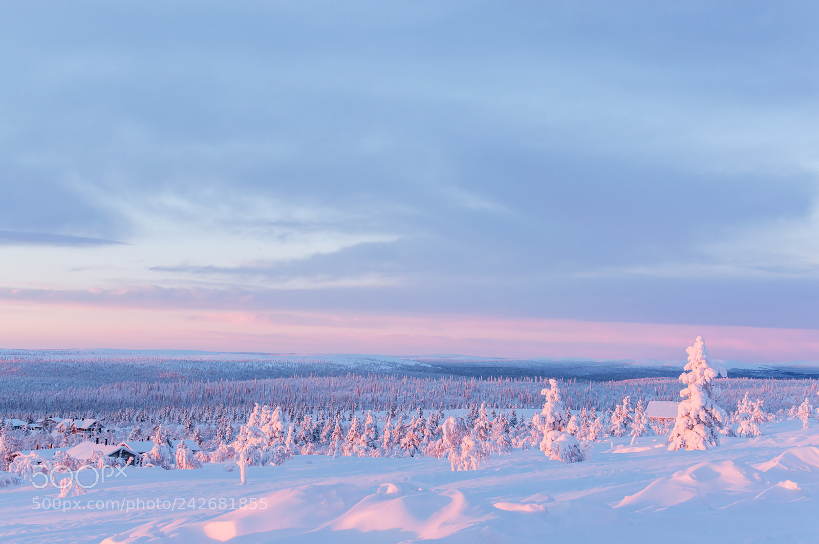 Nikon D3200 sample photo. Pink evening photography