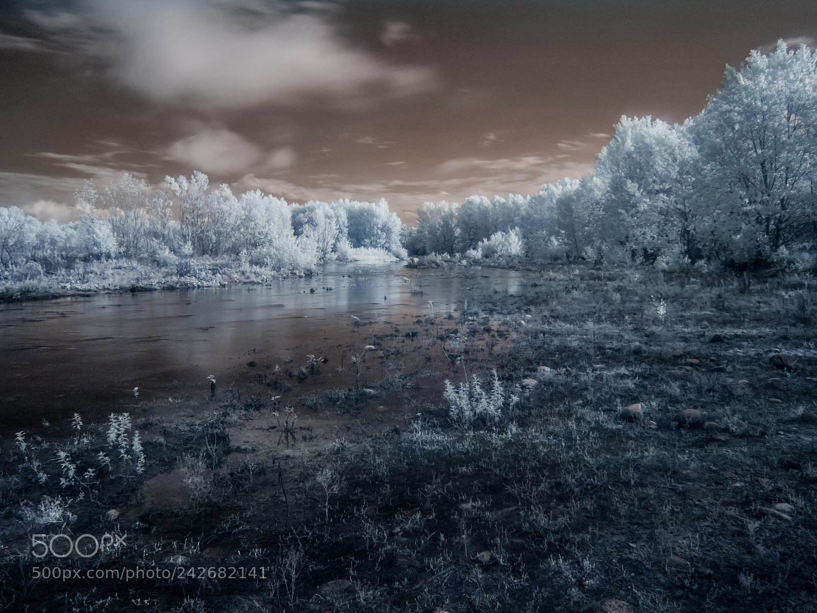 Olympus E-410 (EVOLT E-410) sample photo. Pure infrared, ticino riverside photography