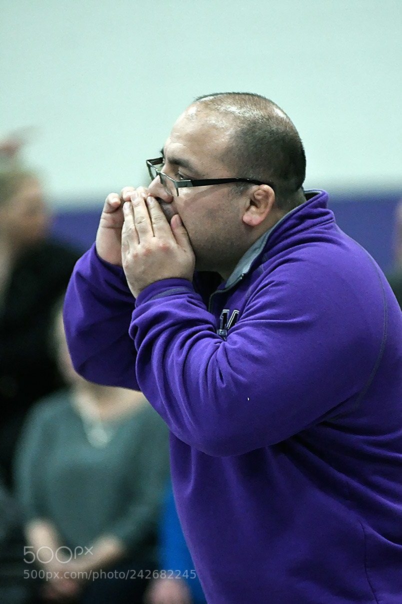 Nikon D500 sample photo. 1-10_0199.jpg photography