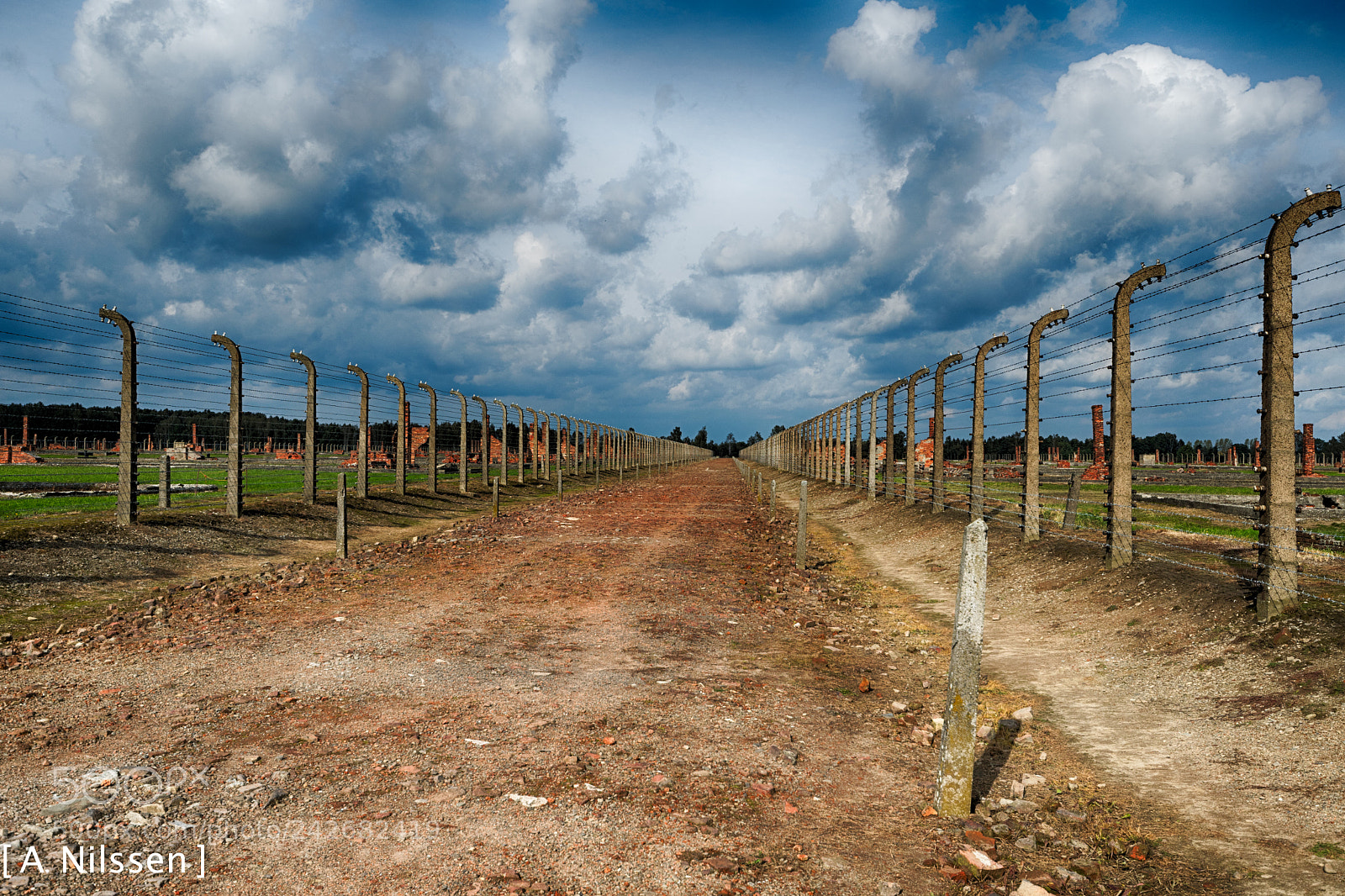 Nikon D500 sample photo. Road of birkenau photography