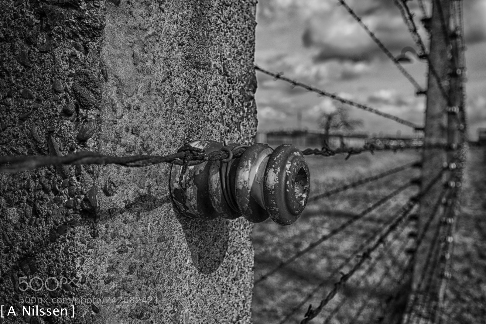 Nikon D500 sample photo. Barbed wire photography