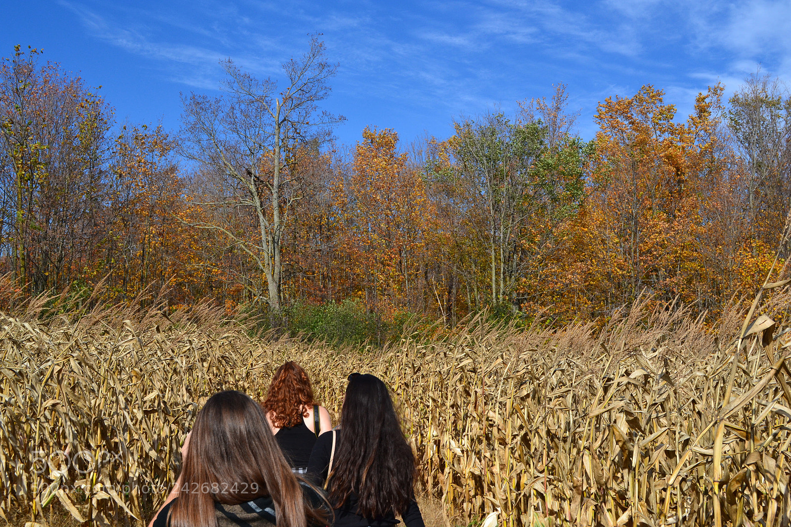 Nikon D3100 sample photo. Marshall's farm photography