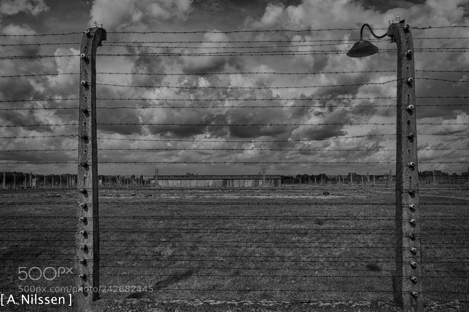 Nikon D500 sample photo. The fence photography