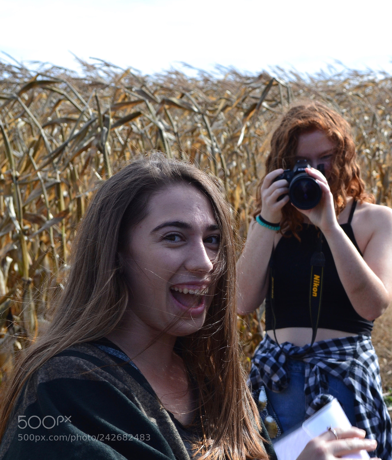 Nikon D3100 sample photo. Untitled photography