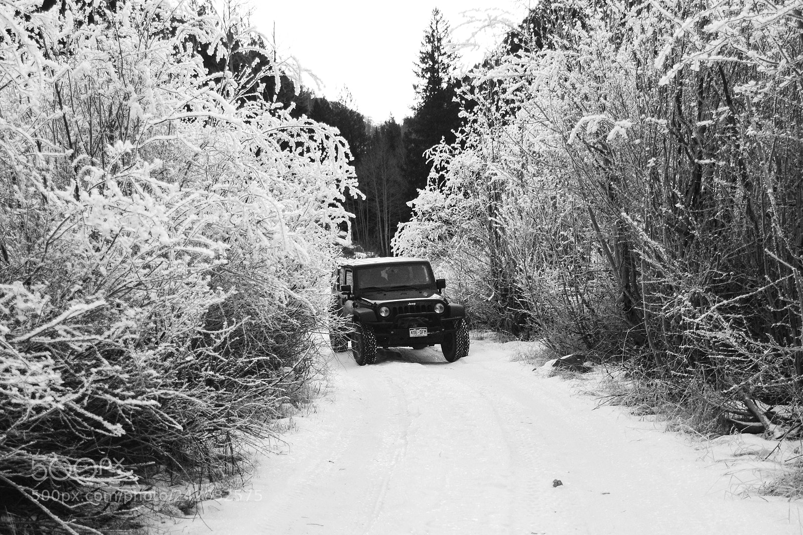 Nikon D7200 sample photo. Jeeping through the snow photography