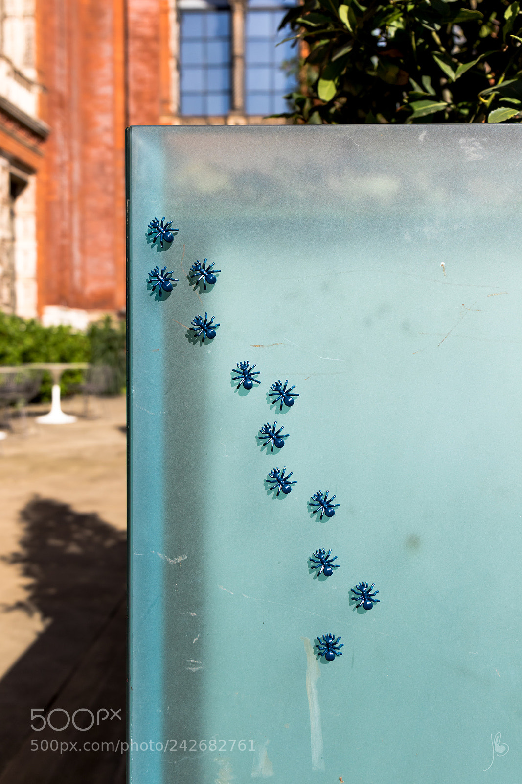 Canon EOS 7D Mark II sample photo. Ants on a wall photography