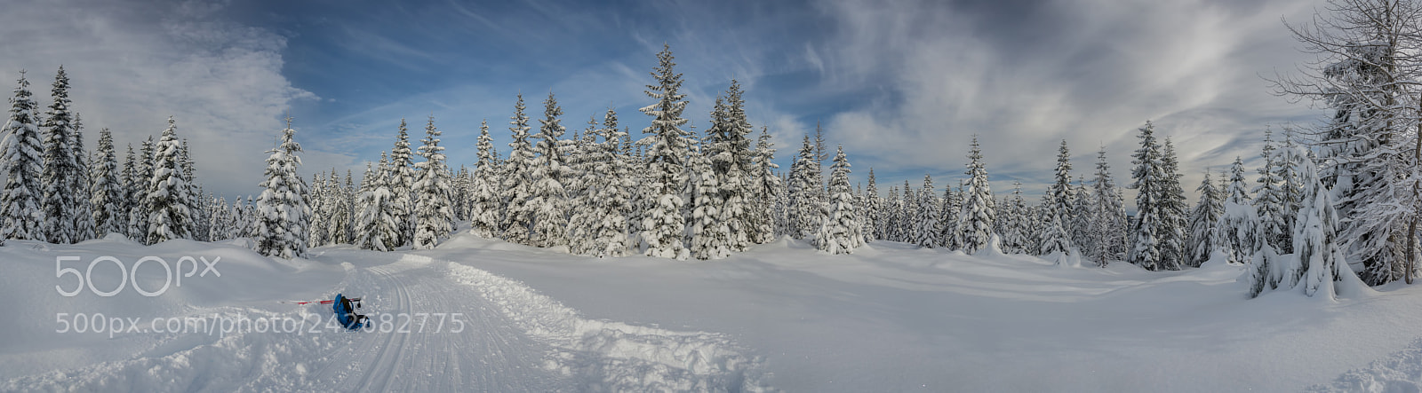 Nikon D7100 sample photo. On the ski trail photography