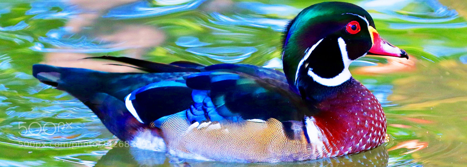 Canon EOS 7D Mark II sample photo. Wooddock photography