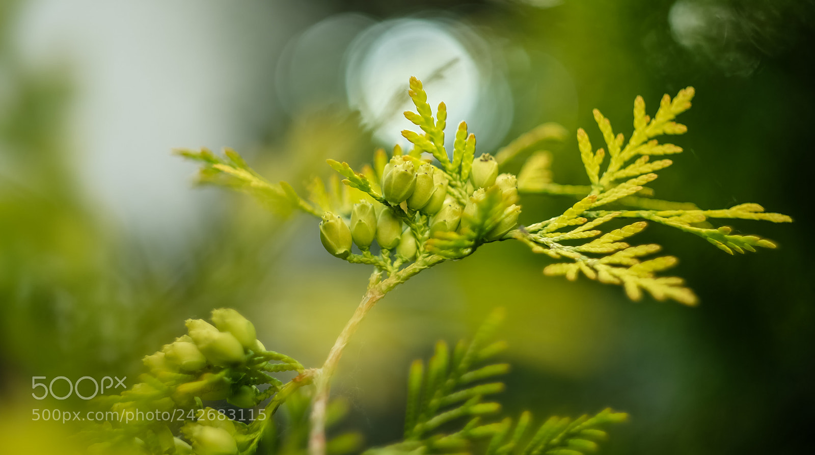 Fujifilm X-A1 sample photo. Untitled photography
