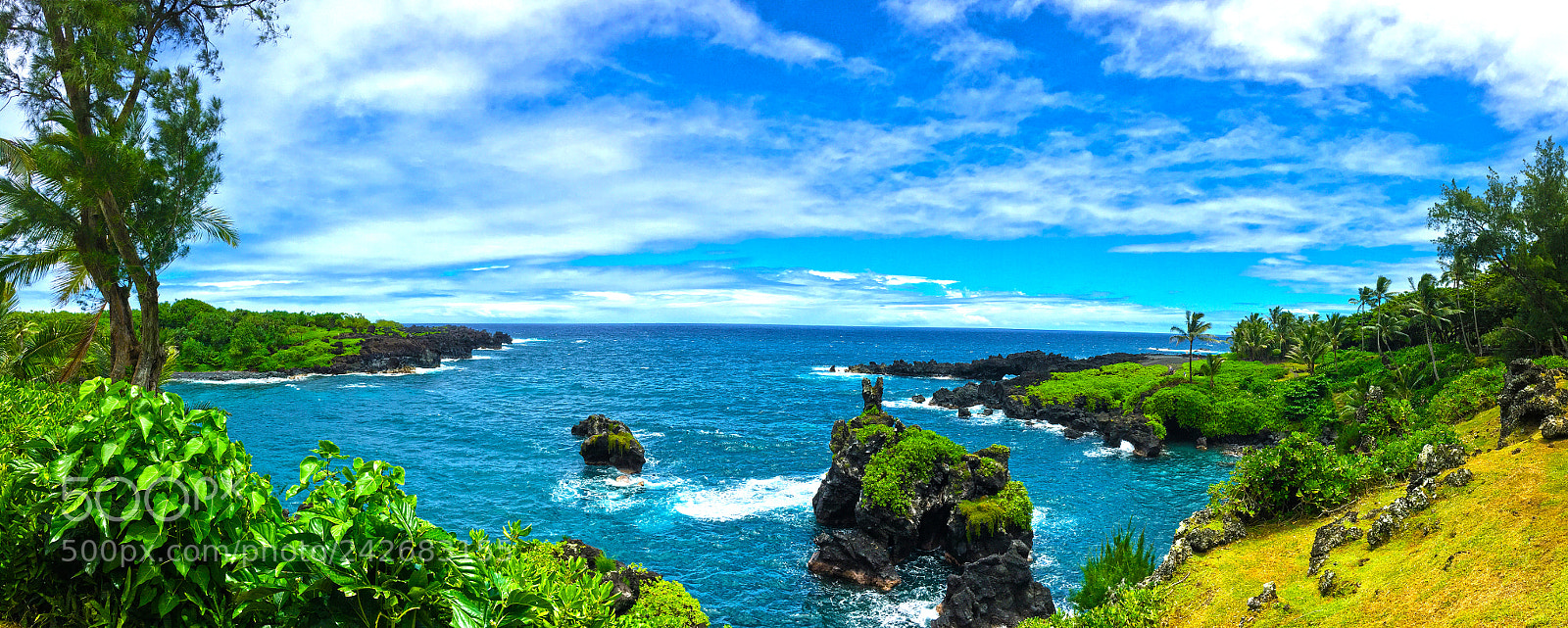 Apple iPhone 6s sample photo. Bird rock wainapanapa photography