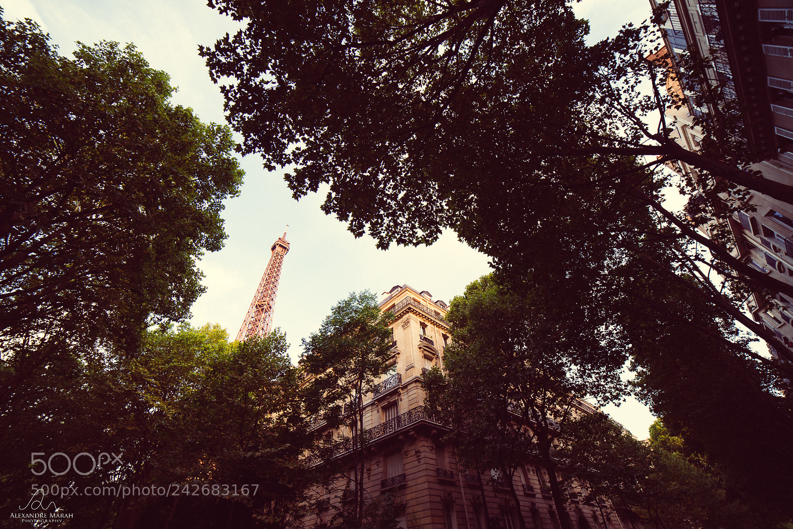 Nikon D800 sample photo. Morning in paris 7e photography
