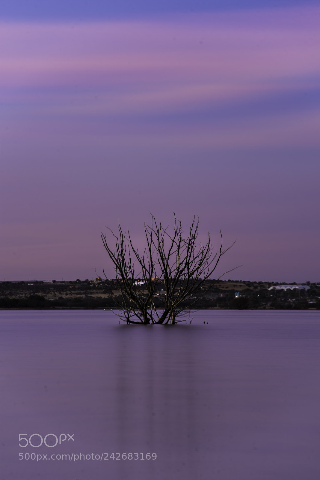 Nikon D610 sample photo. Presa photography