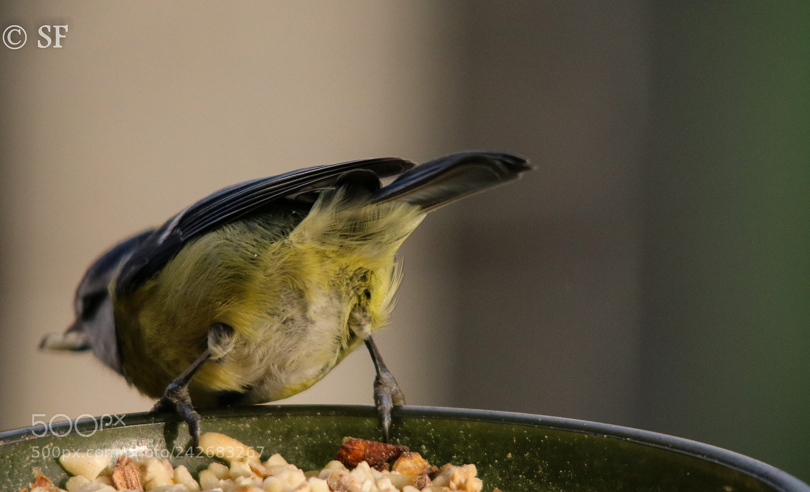 Canon EOS 750D (EOS Rebel T6i / EOS Kiss X8i) sample photo. Ready for "take off" photography